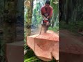 membuat bahan papan dengan presisi🪵⚒️ #wood #gergajimesin #pengrajinkayu #chainsawman #woodwork