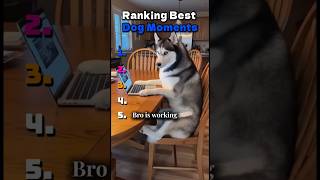 RUNKING FUNNY Dogs😂 #shorts