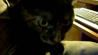 DSCN1823.AVI