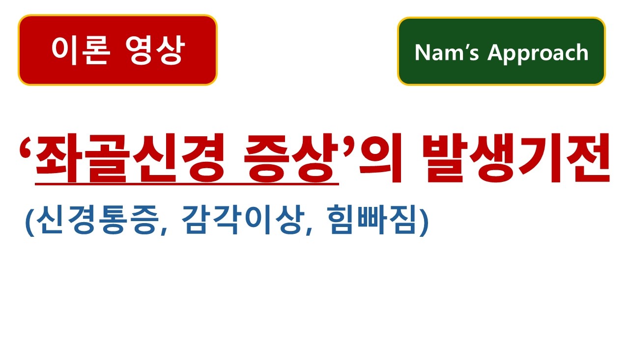 (이론 영상) 좌골신경 증상(통증, 감각이상, 힘빠짐)의 발생기전. 동탄 바로본신경외과 남준록 원장.