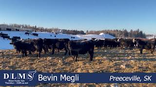 Dlms Direct - Bevin Megli