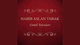 Biz Bu Gülistanın Bülbülleriyiz — Habib Aslan Tabak kapak görseli