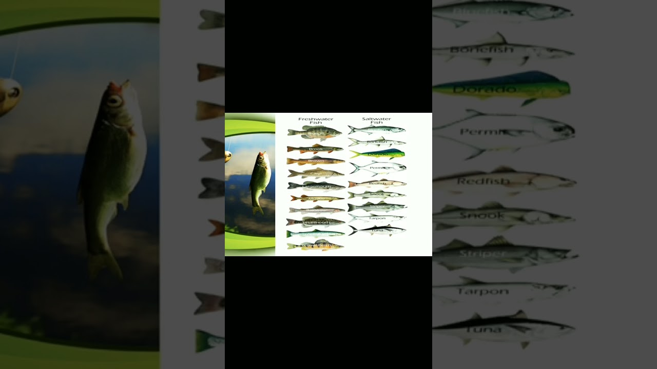 Fresh water and Marine water Fishes / JKSSB /Deputy Inspector /BFC fisheries