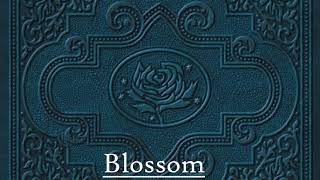 07 - Blossom - Ryan Adams &amp; The Cardinals - Disc Two