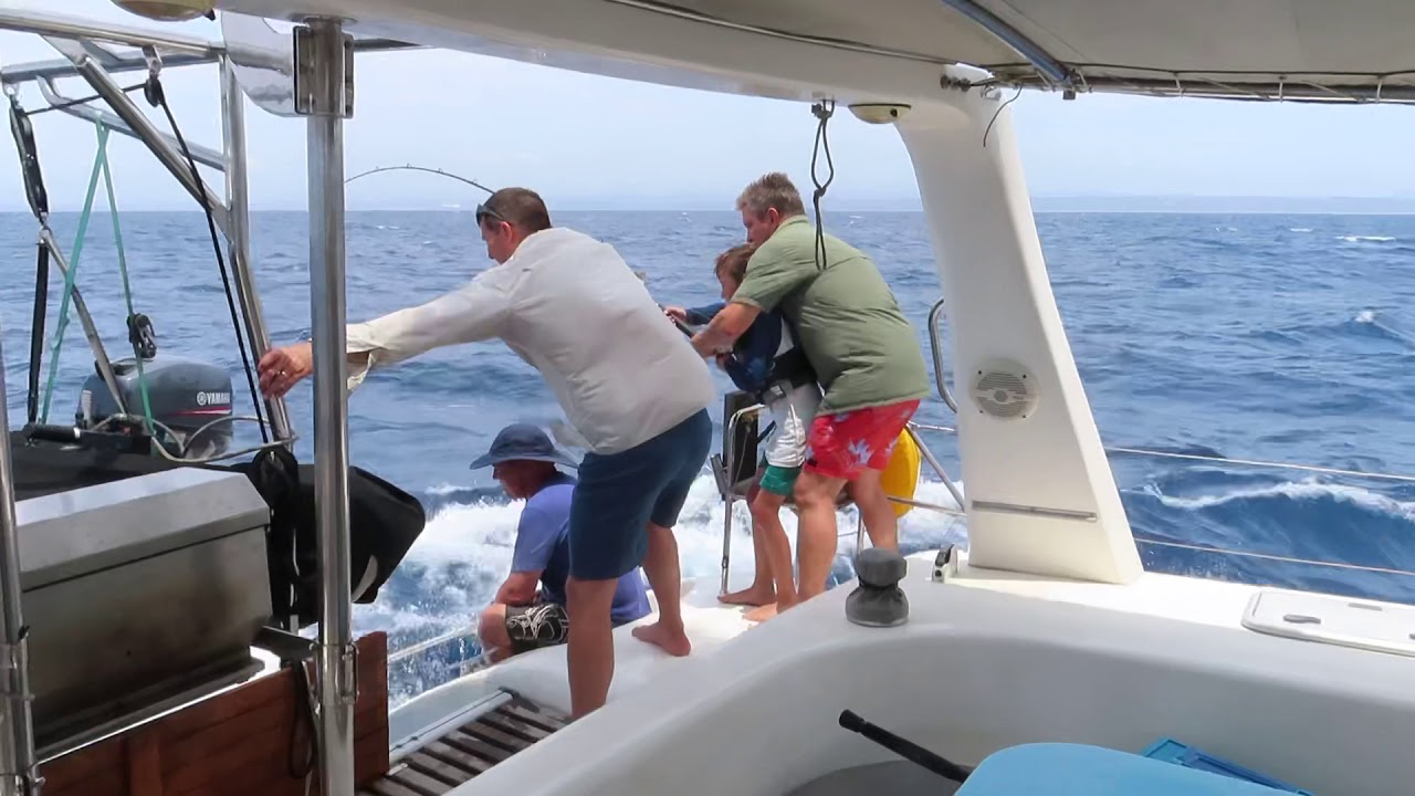 Dorado? Couta? Tuna!! Team Dad!