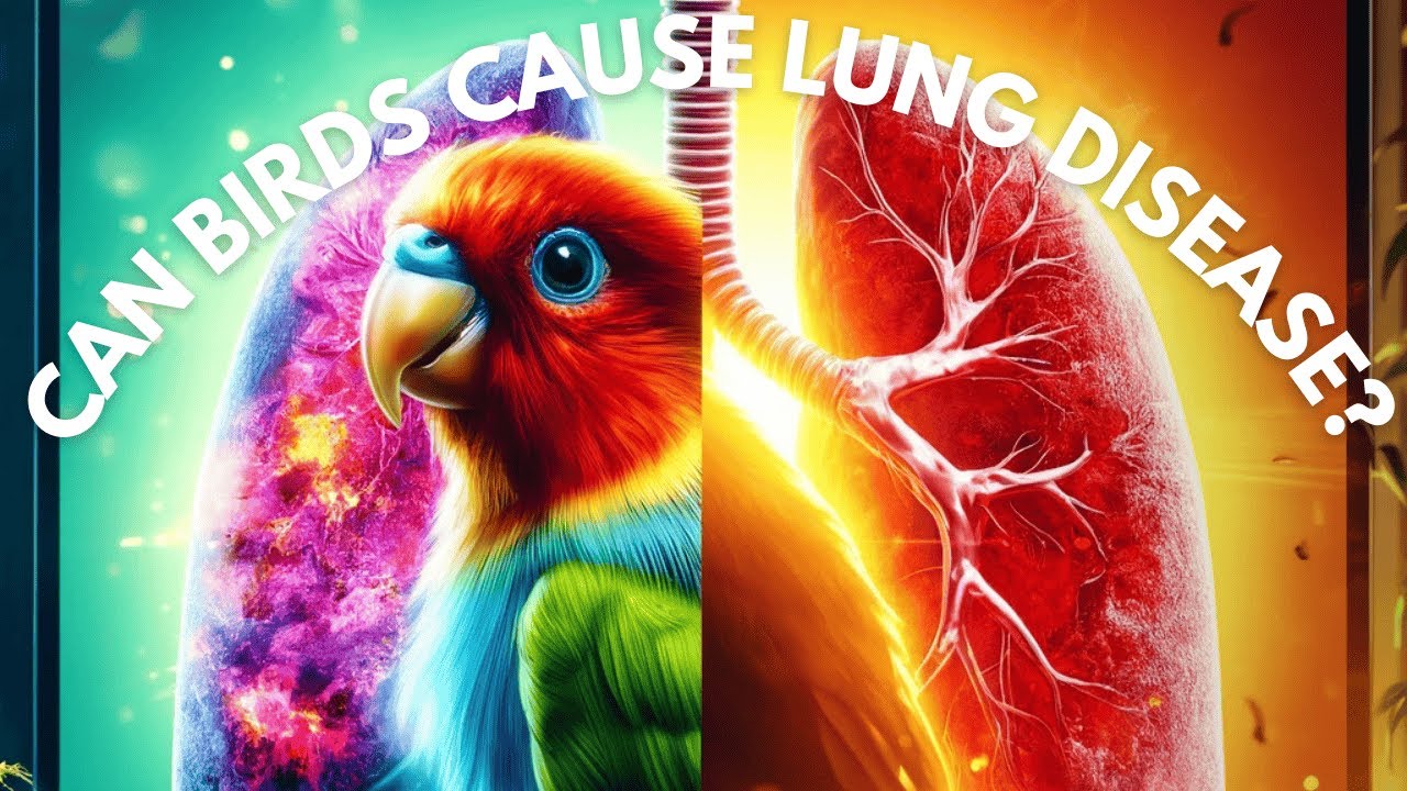 Can having a bird as a pet cause lung disease?