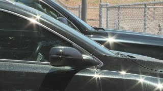 Aurora Urges Pet Owners To Keep Furry Friends Out Of Hot Cars During Heat Wave