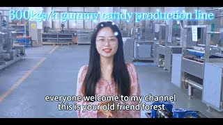 Fully Understand Pharmaceutical Grade Gummy Machine jally candy production line