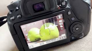 Canon 80D Tutorial: Two Easy Ways to Change ISO Settings