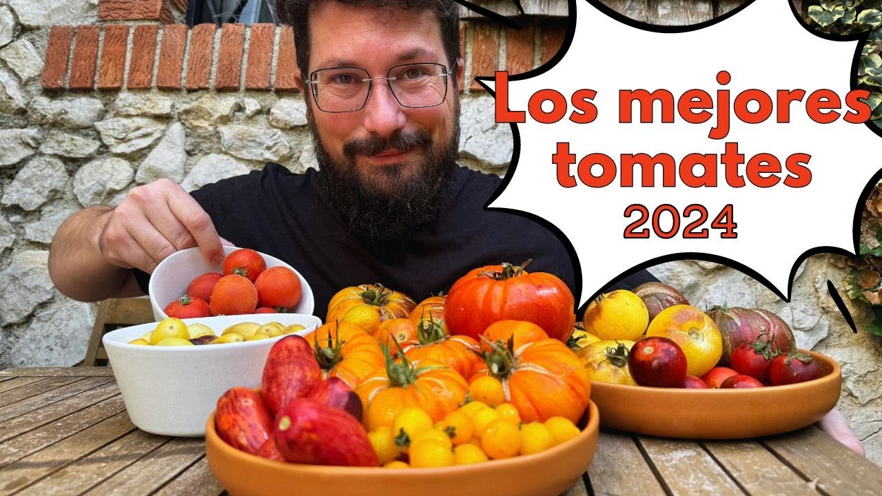Los mejores TOMATES de esta temporada 2024