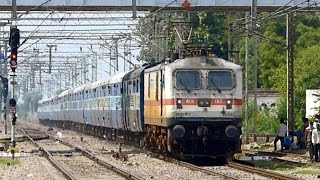 12191 New Delhi - Jabalpur Shreedham Express shoots away with TKD WAP-7