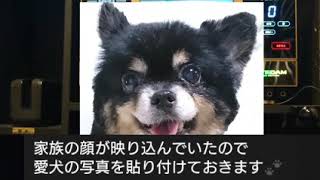 地図が無くても戻るから 古川慎 歌ってみた 男性声優 人気投票サイト 地図が無くても戻るから 古川慎 歌ってみた 男性声優 人気投票サイト