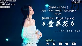 【單依純《萱草花》】 ( 電影《你好,李煥英》電影主題曲 ) - 張小斐 - 翻唱帶歌詞真的很動聽2021 【動態歌詞 / Pinyin Lyrics】
