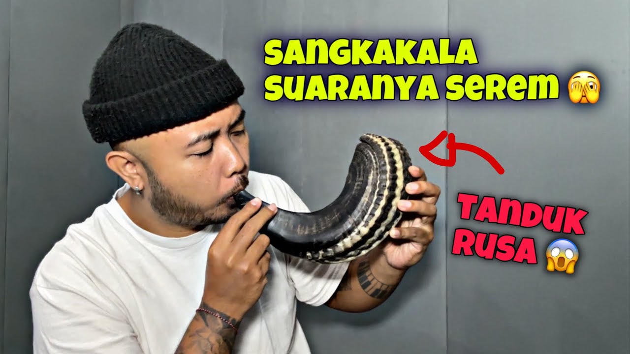 Nyoba Beli Trompet Sangkakala Di Toko Online