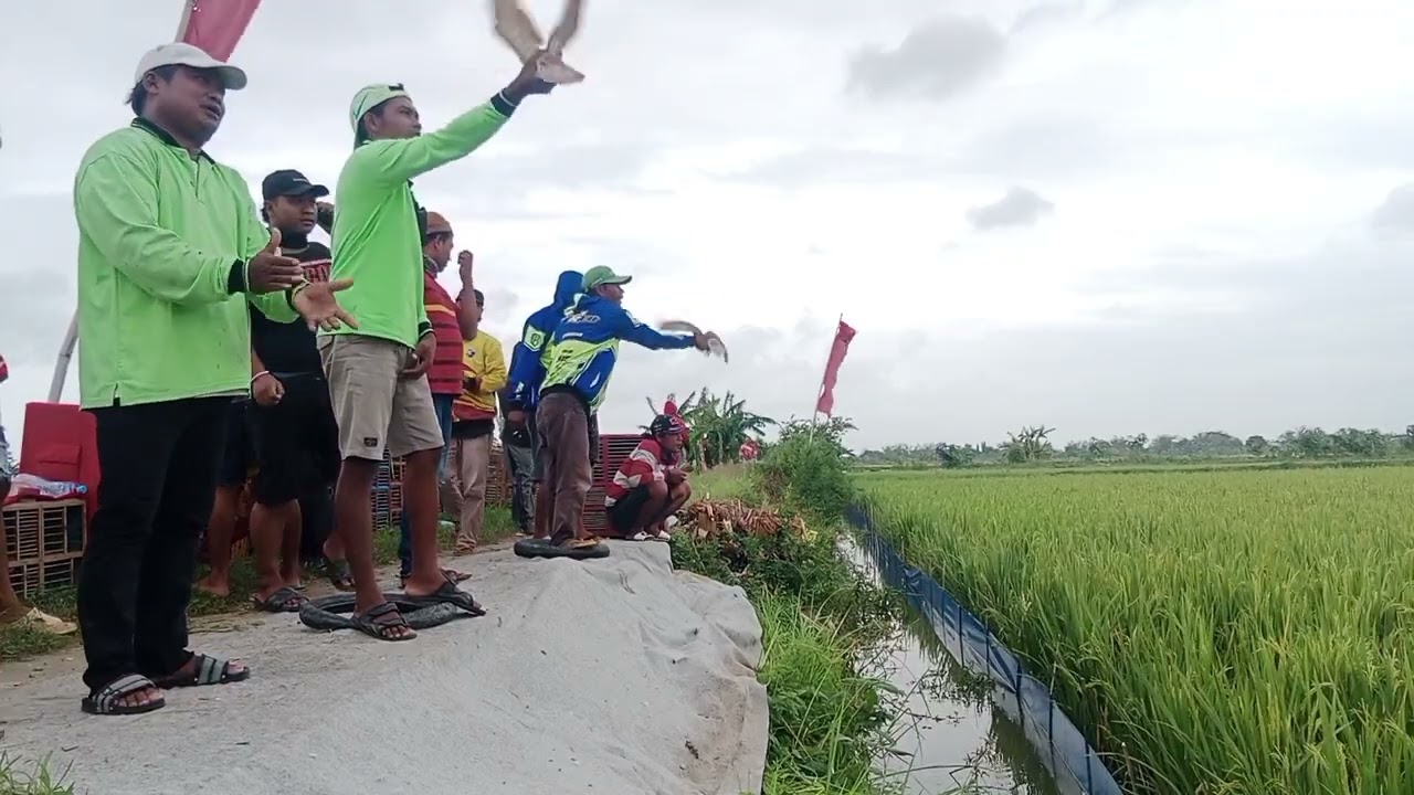 Lomba hari jumat lp. Sinan 500 M. Juara bersama cuaca hujan