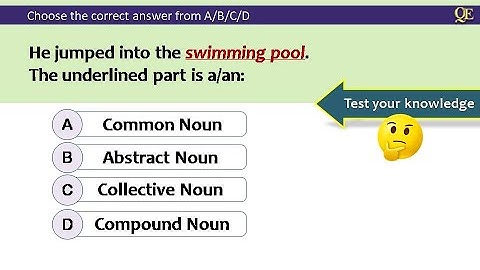Noun quiz by Quality Education | All kinds of nouns with answers | Test your English Grammar