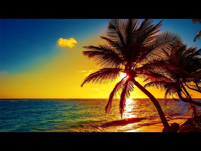 Beautiful Relaxing Music, Peaceful Soothing Instrumental Music, Island Paradise By Tim Janis class=