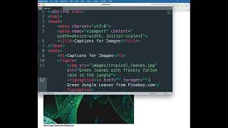 Using Figure and Figcaption