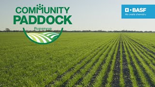 Community Paddock Wrap-up - Rupanyup VIC