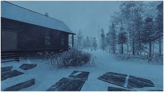 Mighty Blizzard Sounds for Sleeping at Abandoned House┇Loud Howling Wind &amp; Freezing Blowing Snow