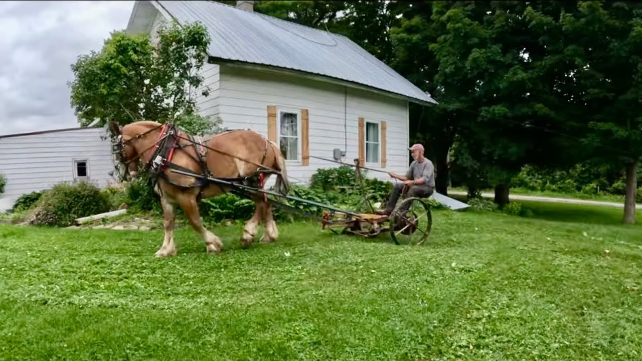 JIM & BILL ARE MOWING THE LAWN??!! 