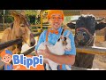 Blippis farm animal adventure  best animals for kids  kids songs and nursery rhymes