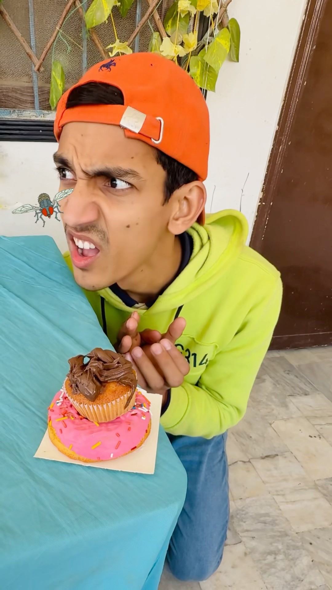 Bee ? Flies On My Donut ?|