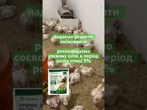 Премикс Универсал Профессиональный 2,5% 2,5 кг для бройлеров, уток, гусей и индей, видео 1