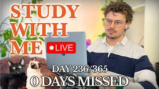 Study With Me (&🐱) LIVE 🚀 8-HOURS — Deep Focus (50/10 Pomodoro)