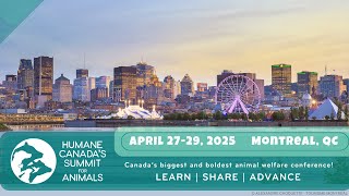 Get Ready! Summit For Animals in Montreal in 2025!
