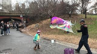 Giant Bubbles in Central Park