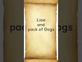 Lion and pack of Dogs