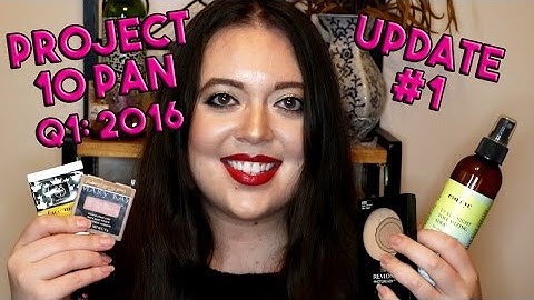 Project 10 Pan: Q1 2016 | Update #1