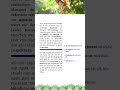 Luyện đọc tiếng Đức B1 cùng Nhân Tâm nhé! (Phần 4)