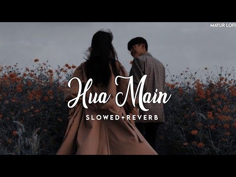 Hua Main (Slowed+Reverb) | Raghav chaitanya,Pritam |Animal | Mayur Lofi