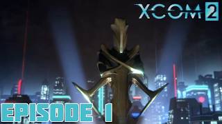 Fighting For Our Freedom! Ep 1 XCOM 2 (Veteran/Vanilla)