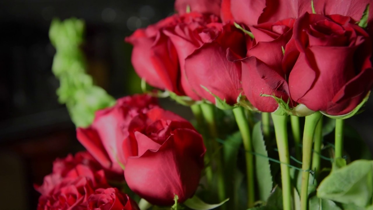 Flowers Arrangements Yosvi.com