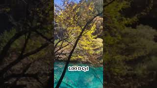 Visual Perception of Myopic Astigmatism (0 to 6.00 D)