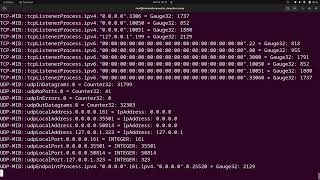 How to create a Bandwidth Monitor (Mbps) in Python with SNMP - Quick Tutorial