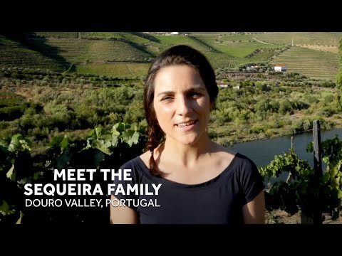 #InsightMoments - Meet the Sequeira Family in Portugal