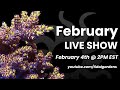 Tidal Gardens February 2023 Live Show