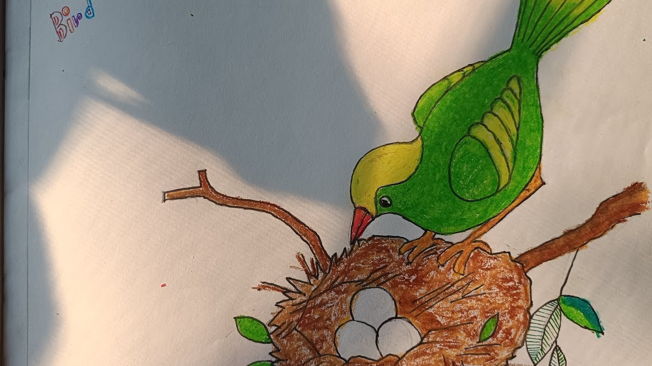 How to draw a bird 🐦 step by step.#drawing #art #bird #birdnest #birddrawing #drawstepbystep 
