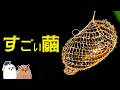 【ゆっくり解説】繭の進化|昆虫の絶技【 進化論 / 科学 】