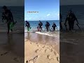 Why Everyone Should Experience Scuba Diving. #shorts #viral #trending #scubadiving #adventure