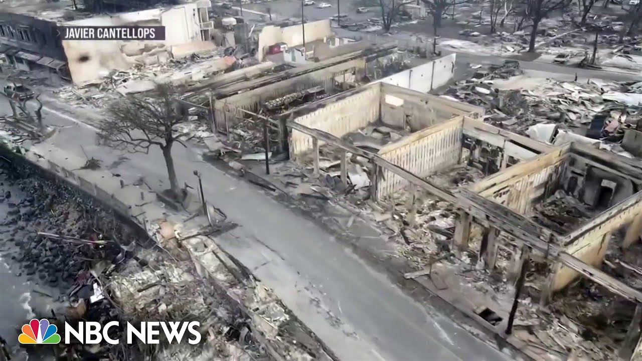 Lawsuits filed against Hawaiian Electric following deadly wildfires