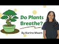 Do Plants Breathe? 🌿 | Respiration in Plants | NEET Biology | Karina Ma’am#RespirationInPlants
