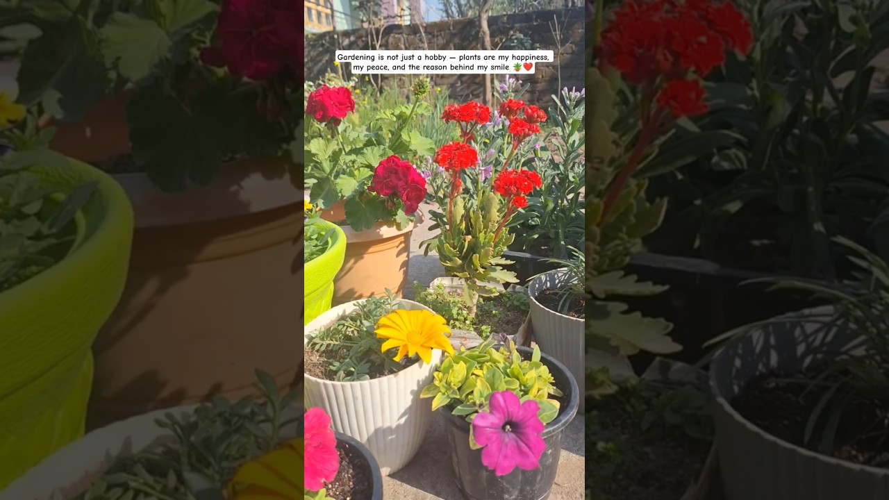 Gardening is not just a Hobby... 