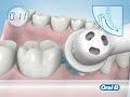 Oral b brosse a dents  soin dentaire