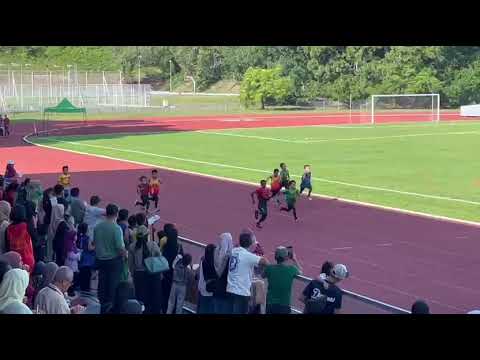 100m Delima
