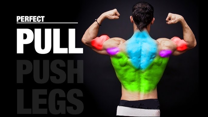 The PERFECT Push Workout (PUSH, PULL